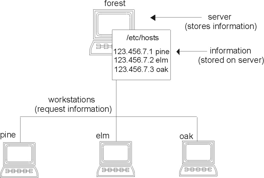 Figure netserver not displayed.